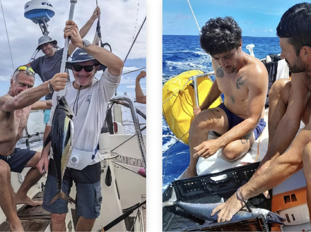 Nautisme Article
