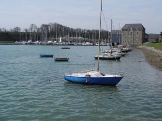 Les conséquences d'un hiver venteux sur votre...