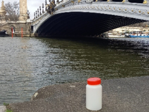 JO 2024 et baignade dans la Seine : Surfrider révèle ses résultats d'analyse 