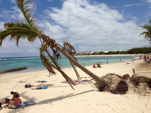 L'érosion menace 160 sites archéologiques de Guadeloupe, selon des scientifiques