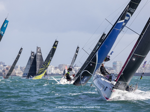 Solo Maitre CoQ : place à la stratégie !
