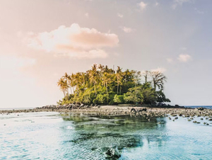 Blanchissement de coraux en Thaïlande : fermeture d'une île