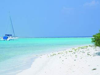 10 gestes pour naviguer tout en protégeant les...