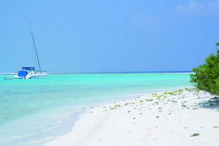 Le constat est amer mais... meme dans les mouillages les plus solitaires et lointains - ici aux Maldives - on trouve de nombreux dechets humains sur les plages et dans les fonds marins... 