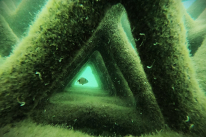 Innovation écologique avec “UpBlock”, le récif artificiel made in Occitanie