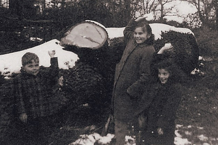 La recherche du bois en famille, en foret. La recherche du bois en famille, en foret.