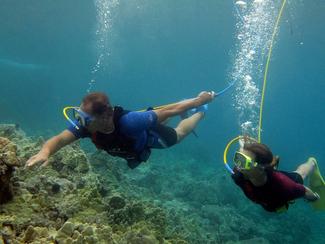 10 activités nautiques insolites pour cet...