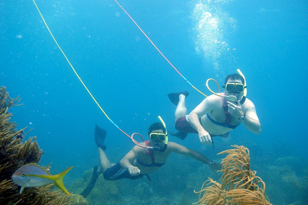 Nautisme Article