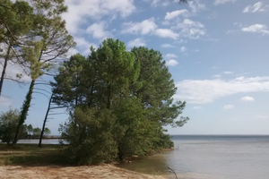 A la découverte des lacs de Biscarrosse