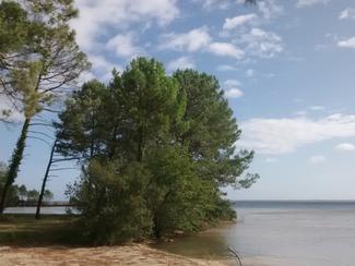A la découverte des lacs de Biscarrosse