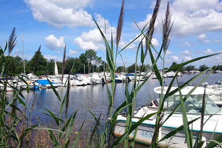 Port sur le lac de Sanguinet