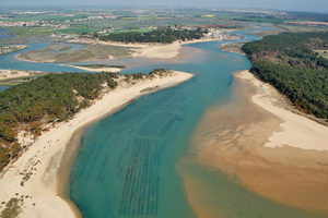 L'estuaire du Payré : une merveille de la côte vendéenne