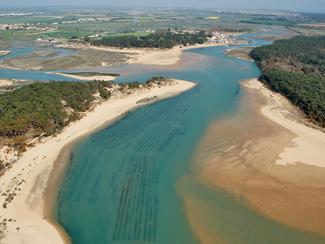L'estuaire du Payré : une merveille de la côte...