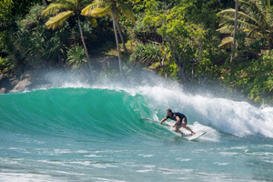 Dompteurs de vagues ! Mille et une façon de les apprivoiser