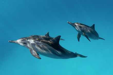 Nautisme Article