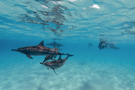 Nautisme Article