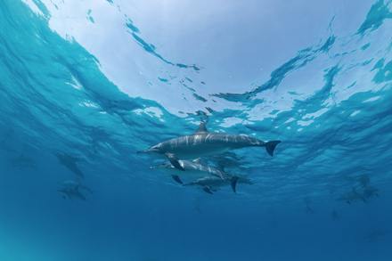 Nautisme Article