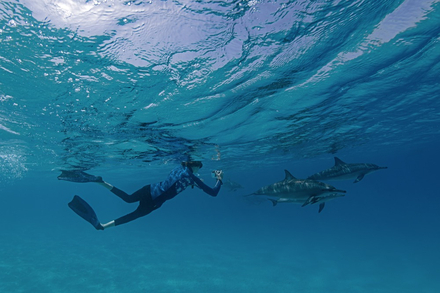 Nautisme Article