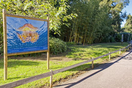 Exposition Galathea 2023 Exposition Galathea 2023