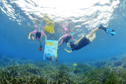 Sentier sous-marin de Port-Cros Sentier sous-marin de Port-Cros