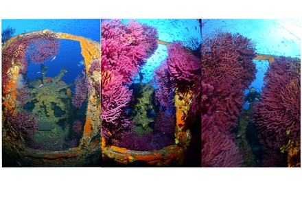 La barre du Donator en 2006, 2019 et 2019 La barre du Donator en 2006, 2019 et 2019