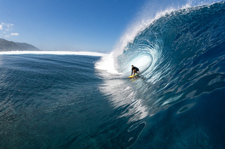 Justin Becret, surfeur professionnel, ambassadeur de Greenbush Justin Becret, surfeur professionnel, ambassadeur de Greenbush