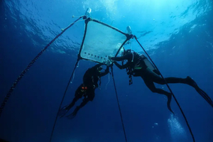 A Chypre, la première pépinière flottante de corail en Méditerranée