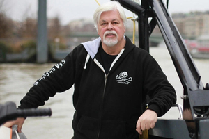 Vive polémique après l'arrestation de Paul Watson, fondateur de Sea Shepherd, au Groenland