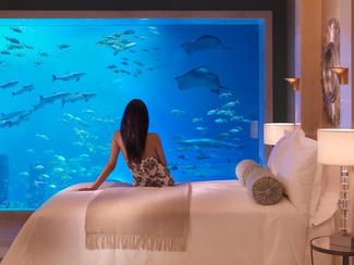 Évasion aquatique : vivez l'expérience unique...