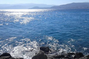 Canicule marine : la Méditerranée bouillonne à des températures records !