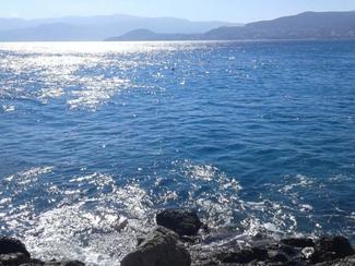 Canicule marine : la Méditerranée bouillonne à...
