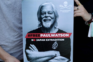 Le militant Paul Watson devant un juge groenlandais pour statuer sur sa détention