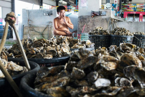 A Taïwan, des coquilles d'huîtres métamorphosées en tissu écoresponsable