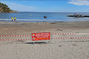 Plage évacuée à La Seyne-sur-Mer après la découverte d'un engin explosif de la Seconde Guerre mondiale