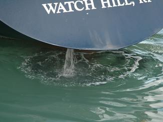 Canicule marine : dangereux pour le...