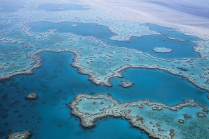 Grande Barrière de corail : l'Australie s'attaque à la mauvaise qualité de l'eau