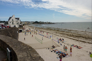 Plages de Concarneau fermées : des centaines de congres s'échouent sur le littoral