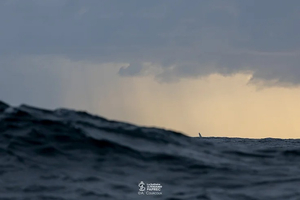 Solitaire du Figaro Paprec : les milles s'étirent, Tom Dolan contrôle