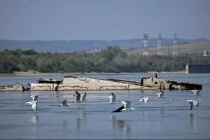 80 ans après l'opération 