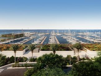Port Camille Rayon : le premier port français...