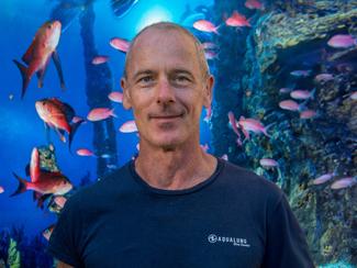 Plongées sur épaves à Porquerolles avec le...