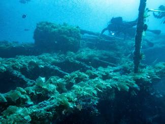 Plongée sur le Sagona dit Le Grec au large de...