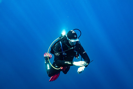 Plongeur regardant son ordinateur de plongee