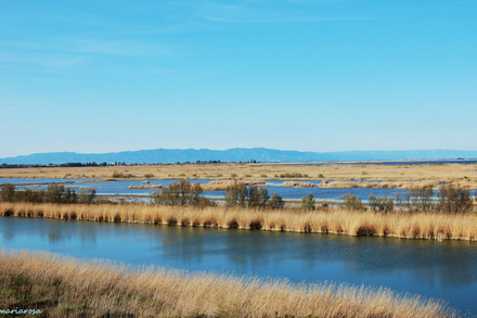 Delta de l'Ebre