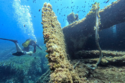 Le Cimentier Le Cimentier