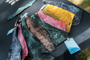 Costa Rica : des peaux de poissons recyclées en vêtements et bijoux