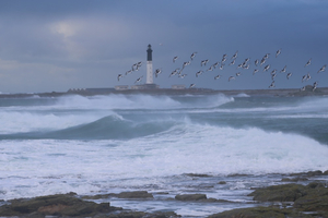 Le Parc marin d'Iroise, modèle contesté d'aire protégée 
