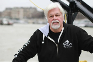 L'écologiste Paul Watson reste en détention au Groenland jusqu’à mi-novembre