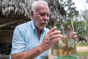 Cette région de Colombie approvisionne les aquariums du monde entier