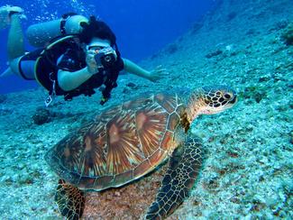 Guide pratique : comment bien préparer sa plongée